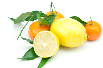 Fototapeta na wymiar lemon and mandarin with green leaves isolated on white