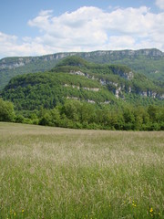 Colline