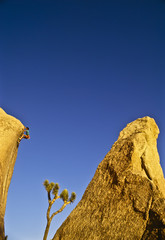 Rock climber on the edge.