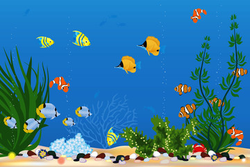 Naklejka na ściany i meble Aquarium with beautiful tropical fishes