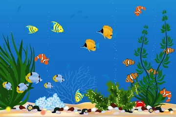 Gartenposter Aquarium mit wunderschönen tropischen Fischen © milovelen