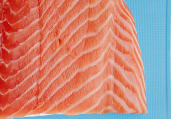 raw salmon fillet on blue plate