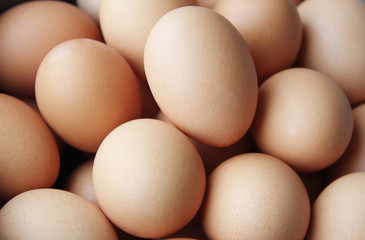 Chicken eggs