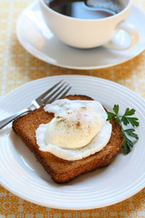 Poached Egg on Toast