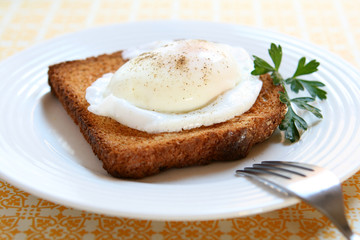 Poached Egg on Toast