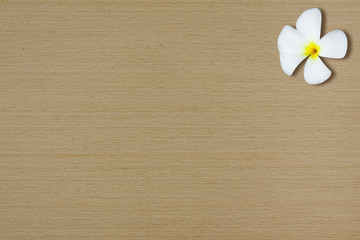 Obraz premium Flowers on the wooden floor