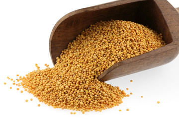 graines de moutarde jaune