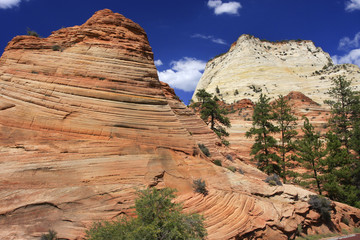 Zion Canyon, textured wall rock, Utah