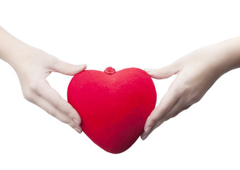 Fototapeta premium red heart in the hands