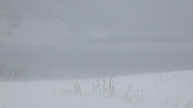 Snow, blizzard, winter