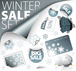 Set of silver winter discount elements