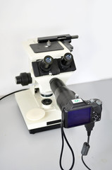 Electronic microscope
