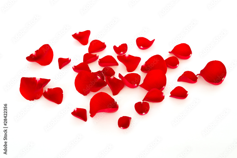 Sticker red rose petals