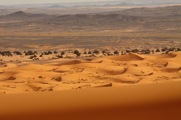 Fototapeta na wymiar Maroko Sahara