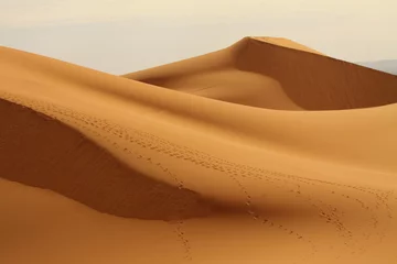 Deurstickers Saharawoestijn Marokko © Curioso.Photography