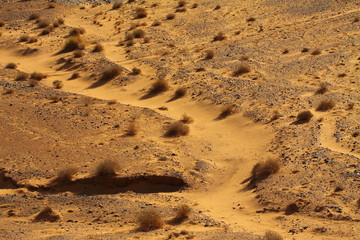 Sahara Desert  Morocco