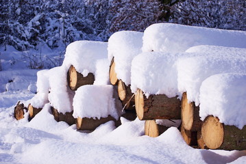 Winter landscape