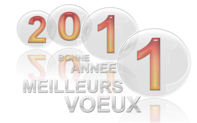 Voeux 2011