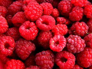 fresh raspberries