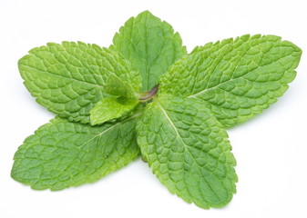 Mint leaves on a white background