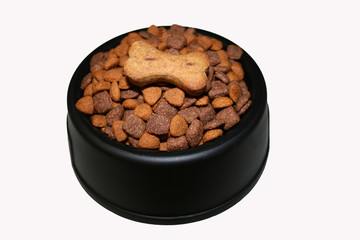 Bowl of Kibble with Treat