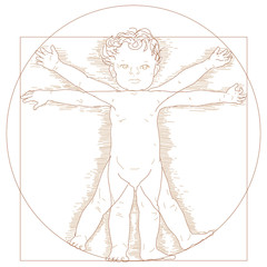 Vector Vitruvian child