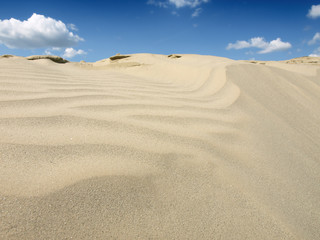 Sand Dunes Landscape