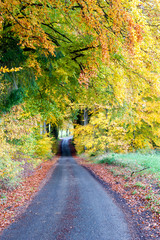 Naklejka premium Autumn landscape