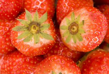 sweet juicy strawberry