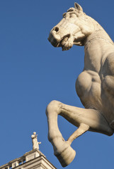 Roma, Campidoglio, statua dei Dioscuri (part.)