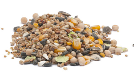 Grains