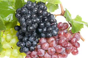 Grape food over white