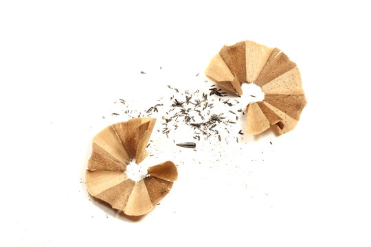 shavings of pencil sharpners