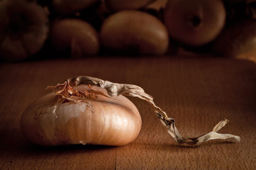 Onion from Perugia