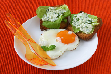 Fried egg with toasts