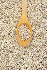 Wooden spoon and dried pearled barley.