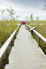 Obraz premium Everglades National Park, Florida, USA