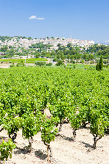 Fototapeta na wymiar La Cadiere d'Azur with vineyards, Provence, France