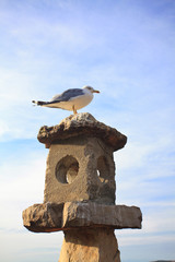 seagull on a stone birdhouse