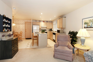 Kitchen and dining room chair