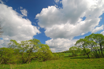 Bieszczady - Tworylne