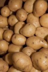new potatoes