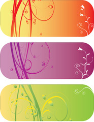 abstract flower Illustration vector spring summer green pink