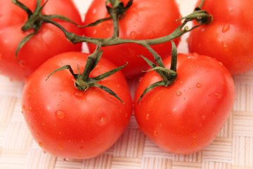 Tomaten