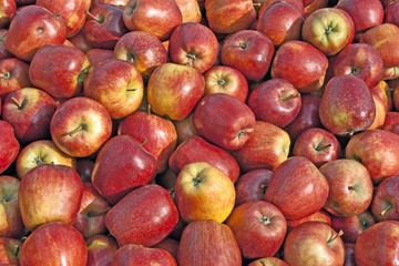 Red apples