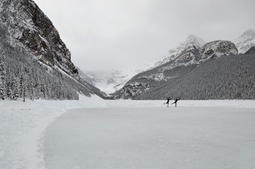 Lake Louise, ice skating