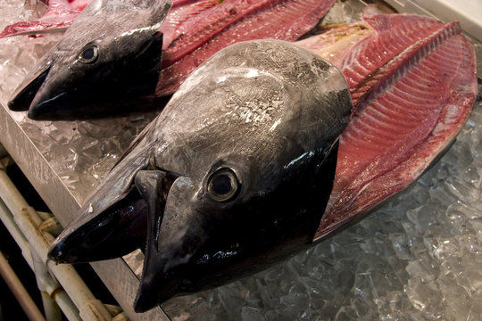 マグロ解体 の画像 346 件の Stock 写真 ベクターおよびビデオ Adobe Stock