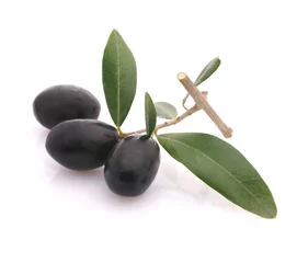 Verdunkelungsvorhänge Vorspeise Oliven