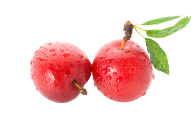 wet ripe plums