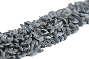 seed
